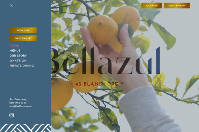 Website designer agency London company digital marketing web developers restaurants builders Marylebone